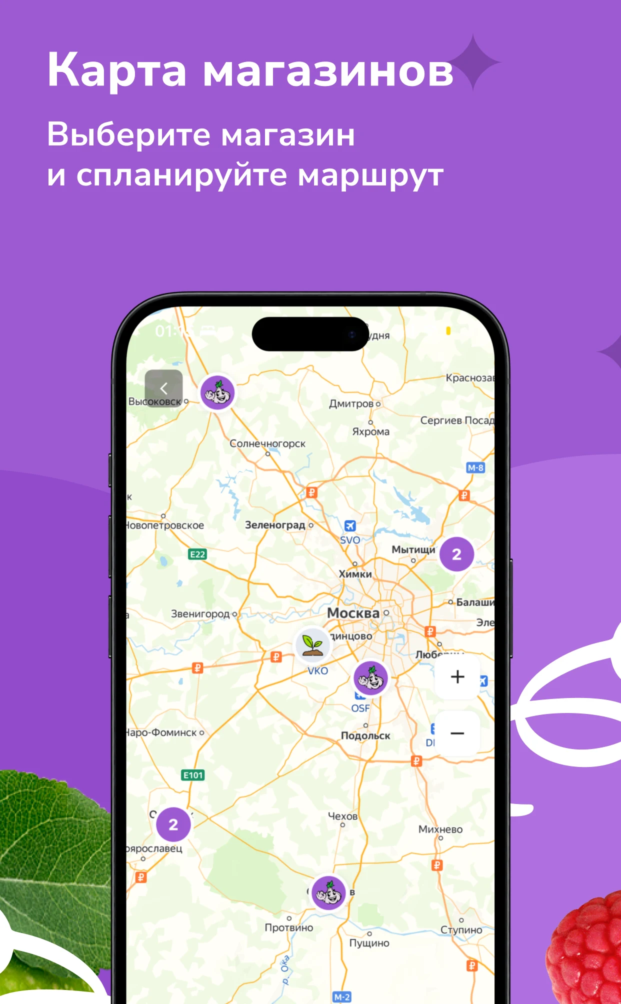Чеснок screenshot